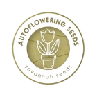 Autoflowering