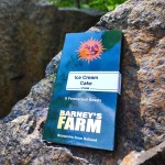 Barney's Farm Ice Cream Cake