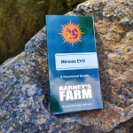 Barney's Farm Mimosa EVO