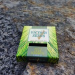 Victory Seeds Auto Jack Hammer